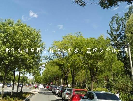 北京出租车牌号有什么要求、蓝牌多少钱一年