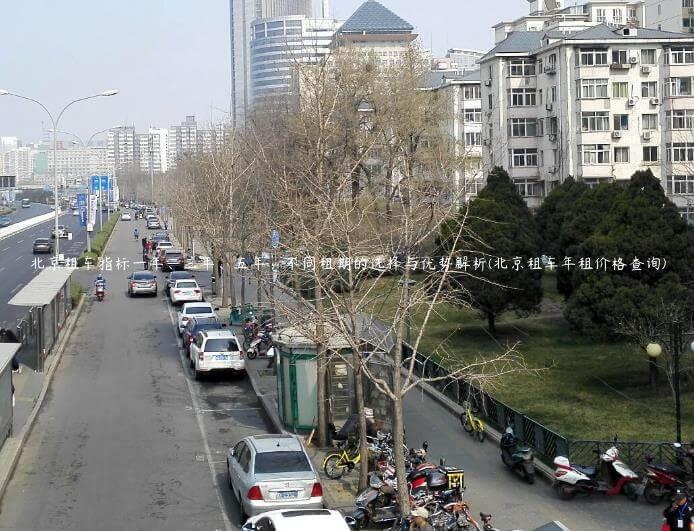 北京租车指标一年、三年、五年：不同租期的选择与优势解析(北京租车年租价格查询)