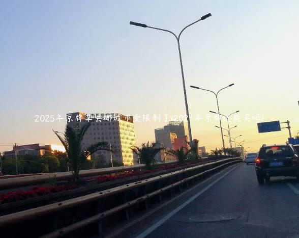 2025年京牌车去哪城市受限制了(2021年京牌还能买吗)