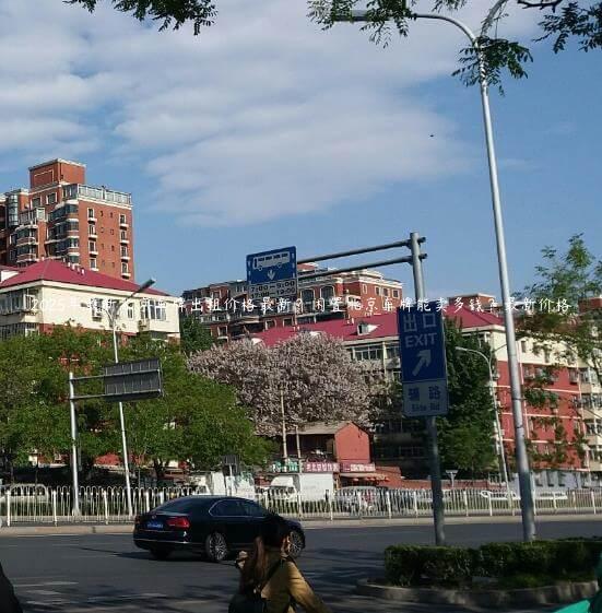 2025年最新北京车牌出租价格最新？闲置北京车牌能卖多钱？最新价格